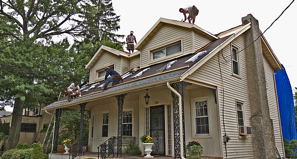 Professional Roofing Contractor in Piperton, TN